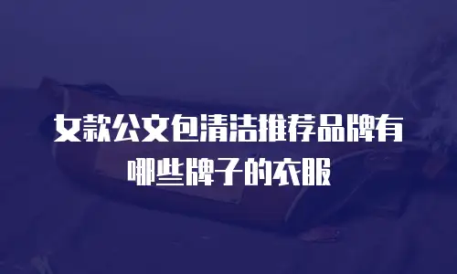 女款公文包清洁推荐品牌有哪些牌子的衣服