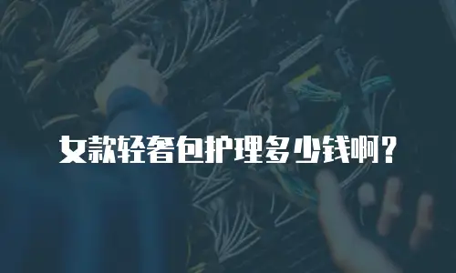 女款轻奢包护理多少钱啊？
