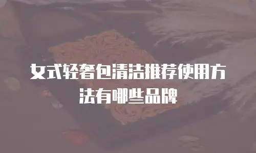 女式轻奢包清洁推荐使用方法有哪些品牌