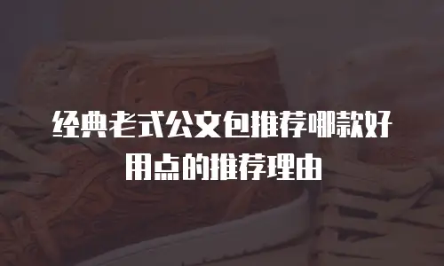 经典老式公文包推荐哪款好用点的推荐理由