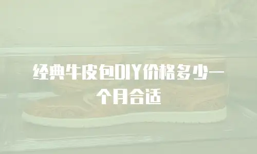 经典牛皮包DIY价格多少一个月合适