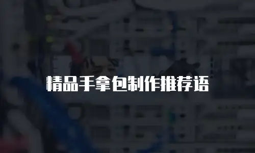 精品手拿包制作推荐语