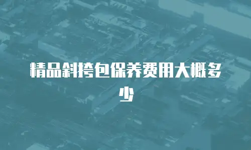 精品斜挎包保养费用大概多少