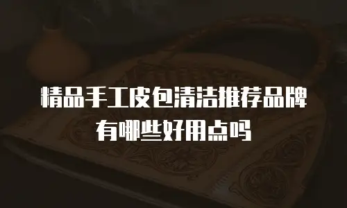 精品手工皮包清洁推荐品牌有哪些好用点吗