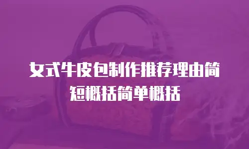 女式牛皮包制作推荐理由简短概括简单概括