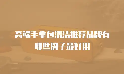高端手拿包清洁推荐品牌有哪些牌子最好用