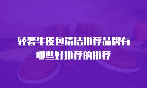 轻奢牛皮包清洁推荐品牌有哪些好推荐的推荐