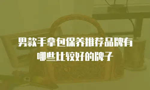 男款手拿包保养推荐品牌有哪些比较好的牌子