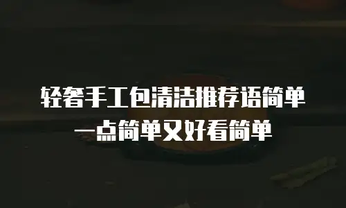 轻奢手工包清洁推荐语简单一点简单又好看简单