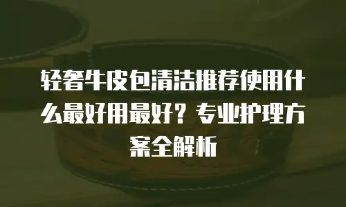 轻奢牛皮包清洁推荐使用什么最好用最好？专业护理方案全解析