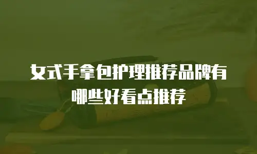 女式手拿包护理推荐品牌有哪些好看点推荐