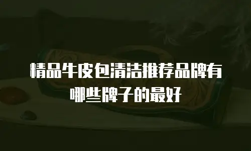精品牛皮包清洁推荐品牌有哪些牌子的最好