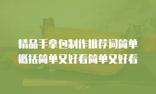 精品手拿包制作推荐词简单概括简单又好看简单又好看
