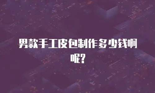 男款手工皮包制作多少钱啊呢?