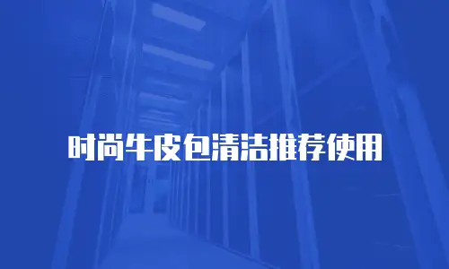 时尚牛皮包清洁推荐使用