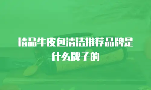 精品牛皮包清洁推荐品牌是什么牌子的