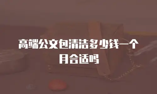 高端公文包清洁多少钱一个月合适吗