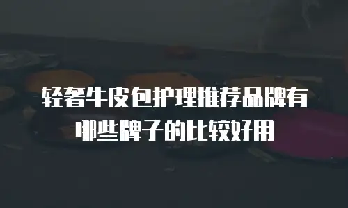 轻奢牛皮包护理推荐品牌有哪些牌子的比较好用