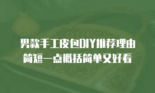 男款手工皮包DIY推荐理由简短一点概括简单又好看