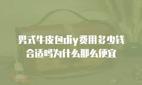 男式牛皮包diy费用多少钱合适吗为什么那么便宜