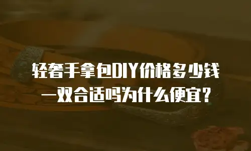 轻奢手拿包DIY价格多少钱一双合适吗为什么便宜？