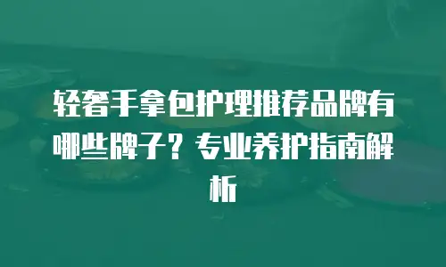 轻奢手拿包护理推荐品牌有哪些牌子？专业养护指南解析