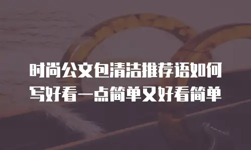 时尚公文包清洁推荐语如何写好看一点简单又好看简单