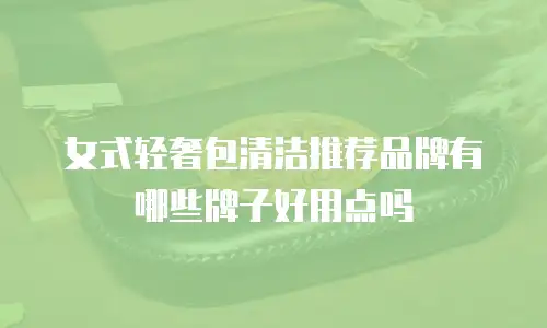 女式轻奢包清洁推荐品牌有哪些牌子好用点吗