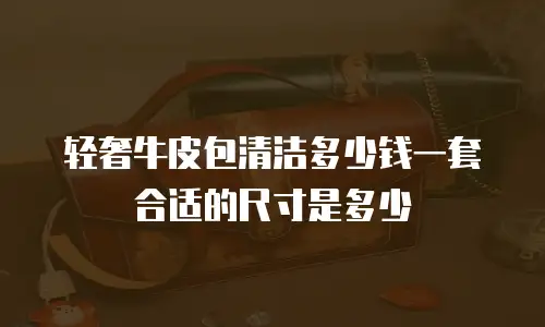 轻奢牛皮包清洁多少钱一套合适的尺寸是多少