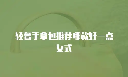轻奢手拿包推荐哪款好一点女式