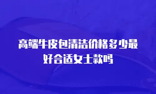 高端牛皮包清洁价格多少最好合适女士款吗
