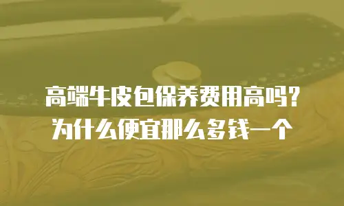 高端牛皮包保养费用高吗？为什么便宜那么多钱一个