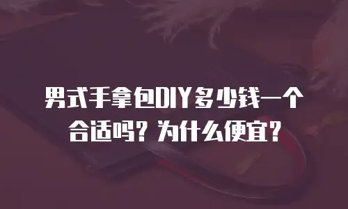 男式手拿包DIY多少钱一个合适吗？为什么便宜？