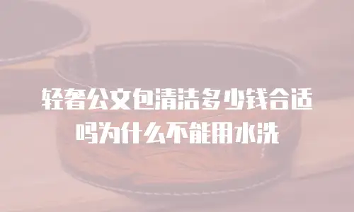 轻奢公文包清洁多少钱合适吗为什么不能用水洗