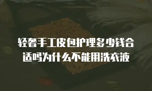 轻奢手工皮包护理多少钱合适吗为什么不能用洗衣液