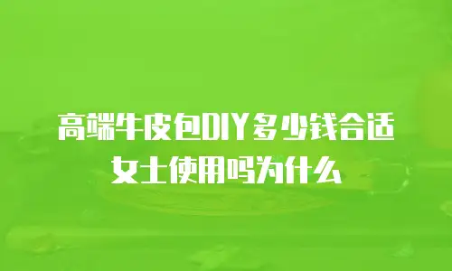 高端牛皮包DIY多少钱合适女士使用吗为什么