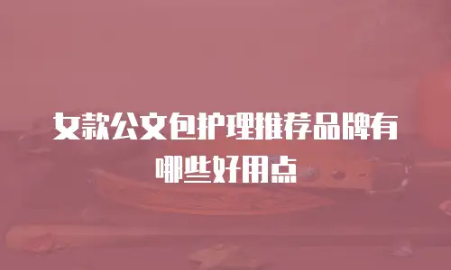 女款公文包护理推荐品牌有哪些好用点