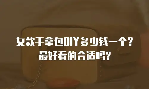 女款手拿包DIY多少钱一个？最好看的合适吗？