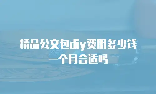 精品公文包diy费用多少钱一个月合适吗