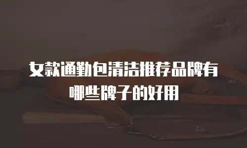 女款通勤包清洁推荐品牌有哪些牌子的好用