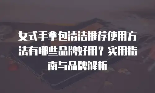 女式手拿包清洁推荐使用方法有哪些品牌好用？实用指南与品牌解析