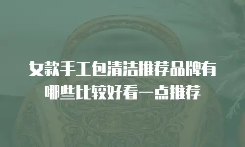 女款手工包清洁推荐品牌有哪些比较好看一点推荐