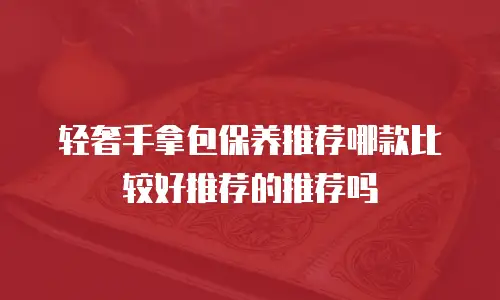 轻奢手拿包保养推荐哪款比较好推荐的推荐吗