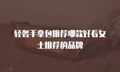 轻奢手拿包推荐哪款好看女士推荐的品牌