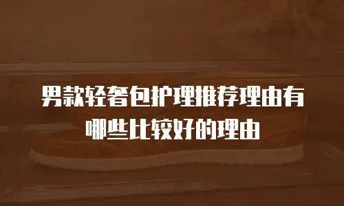 男款轻奢包护理推荐理由有哪些比较好的理由