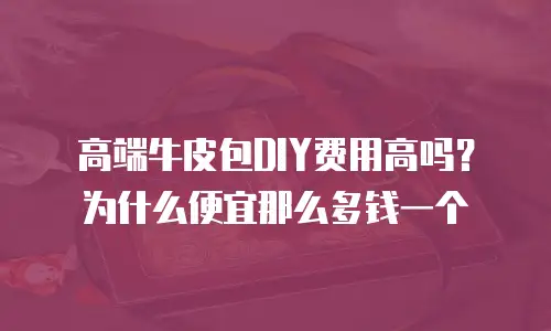 高端牛皮包DIY费用高吗？为什么便宜那么多钱一个