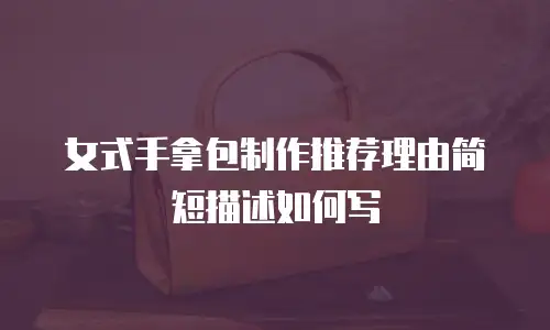 女式手拿包制作推荐理由简短描述如何写