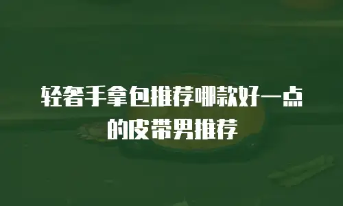 轻奢手拿包推荐哪款好一点的皮带男推荐