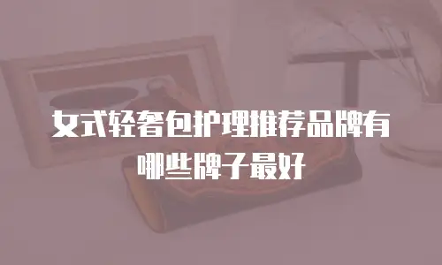 女式轻奢包护理推荐品牌有哪些牌子最好