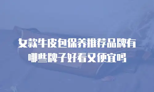 女款牛皮包保养推荐品牌有哪些牌子好看又便宜吗